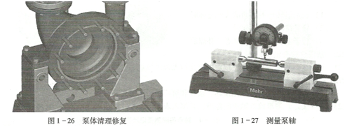 大東海泵業(yè)水泵圖片