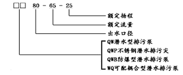 大東海泵業(yè)WQ潛水無(wú)堵塞排污泵型號(hào)意義