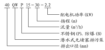 大東海泵業(yè)潛水排污泵型號意義