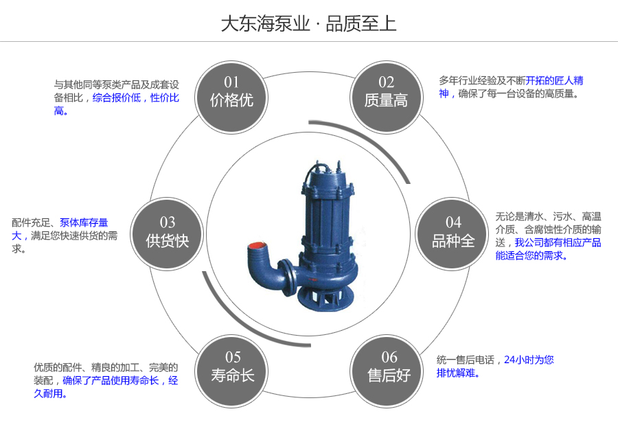 大東海泵業(yè)WQ型潛水泵質(zhì)量保證圖