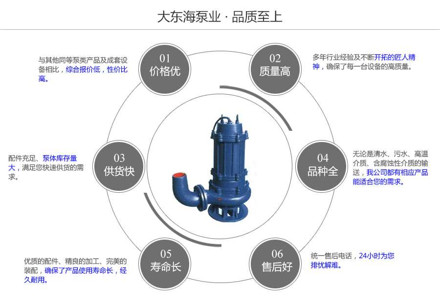 大東海泵業(yè)QW型潛污泵質(zhì)量保證圖